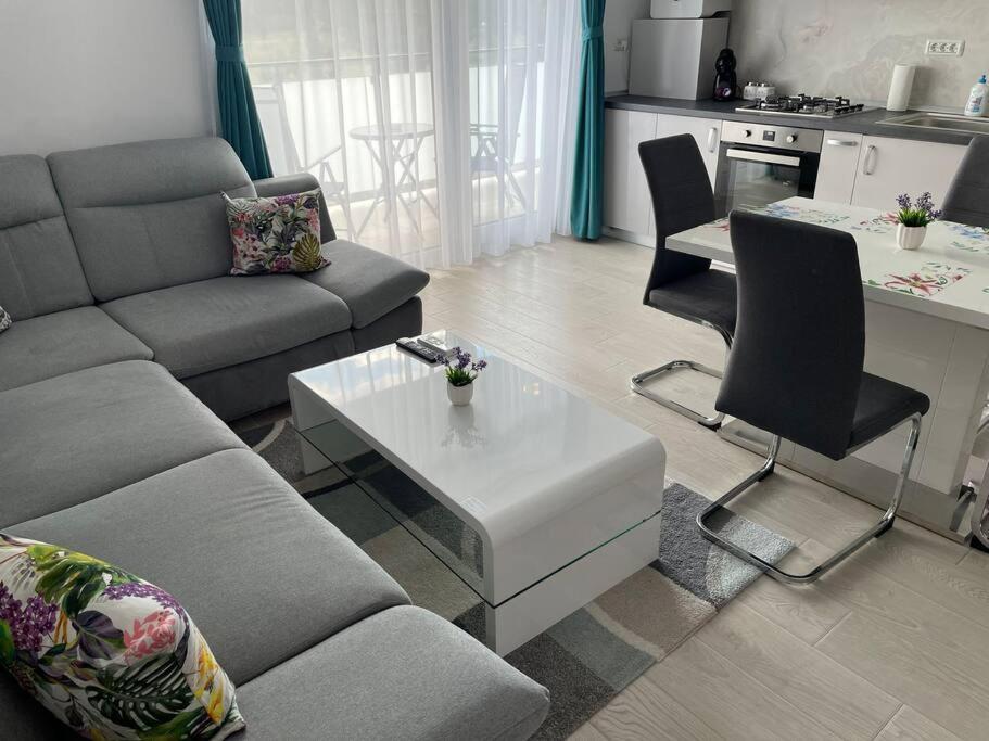 Rebreanu Residence Lux Apartmen Τιμισοάρα Εξωτερικό φωτογραφία