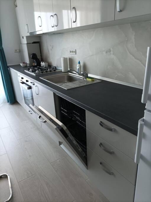 Rebreanu Residence Lux Apartmen Τιμισοάρα Εξωτερικό φωτογραφία